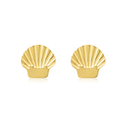 Gold Shell Studs - Coralandmint