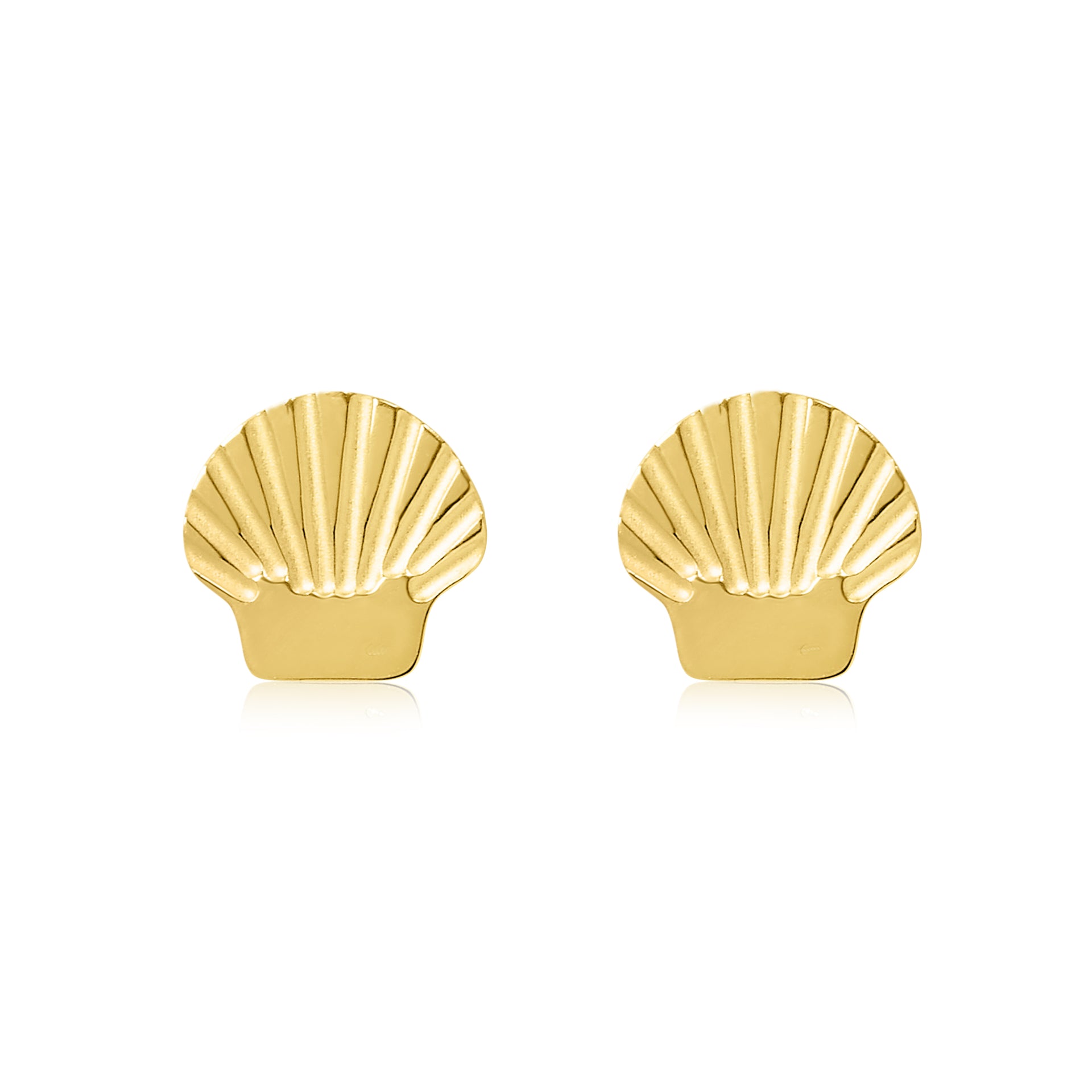 Gold Shell Studs - Coralandmint