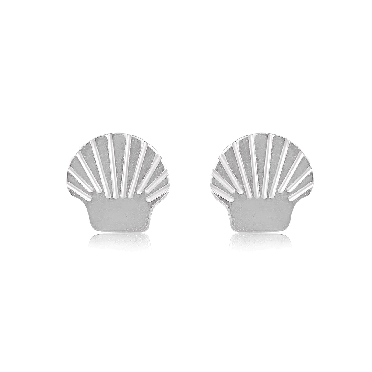 Silver Shell Studs - Coralandmint