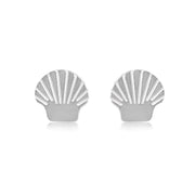 Silver Shell Studs - Coralandmint